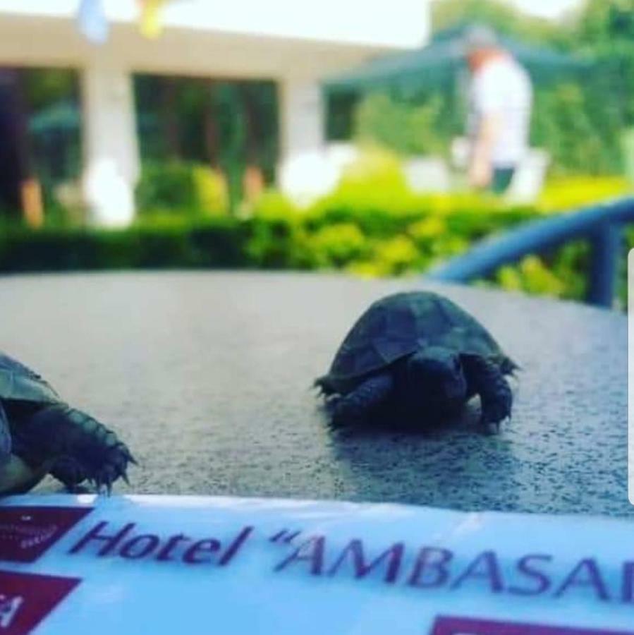 Hotel Ambasador Garden Lezhë 외부 사진
